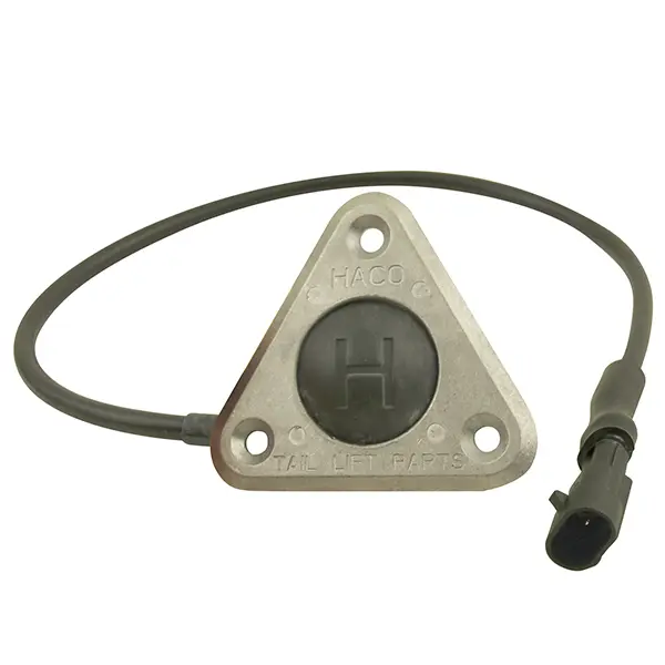 Footcontrol BG complete "H" HACO Bär Cargolift 