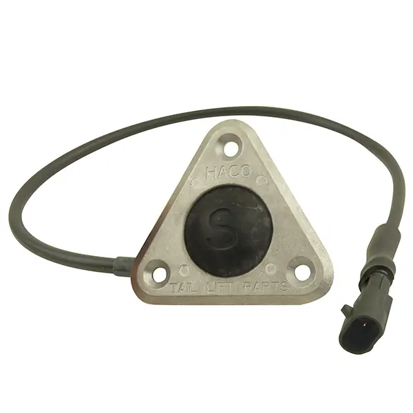 Footcontrol BG complete "S" HACO Bär Cargolift 