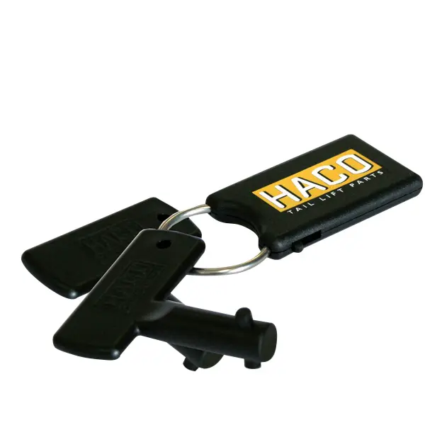Set keys battery switch new model HACO Dhollandia 