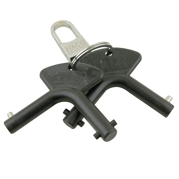 Set keys battery switch HACO Dhollandia 