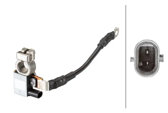 SENSOR, BATTERY MANAGEMENT           6PK Hella 