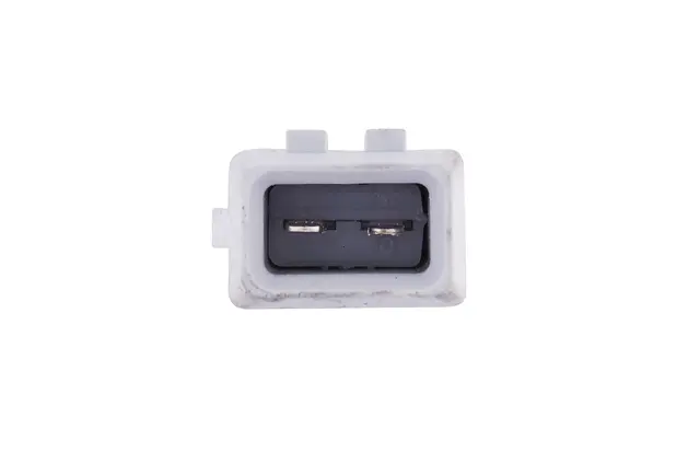 Ryggelys Halogen 12v Hella 