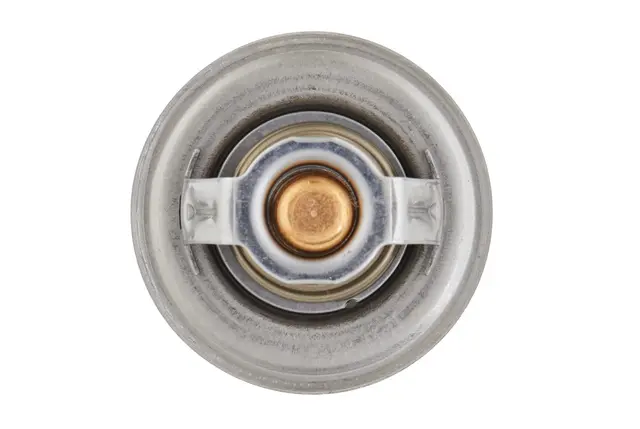 THERMOSTAT                           8MT Hella 