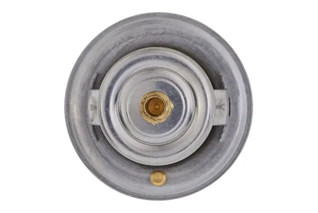 THERMOSTAT                           8MT Hella 