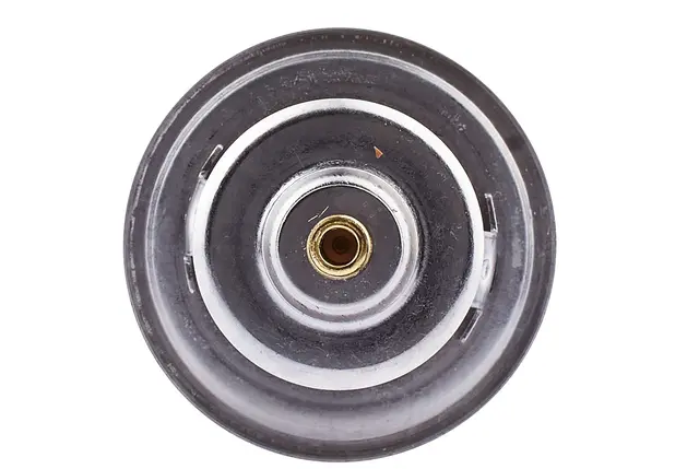 THERMOSTAT                           8MT Hella 
