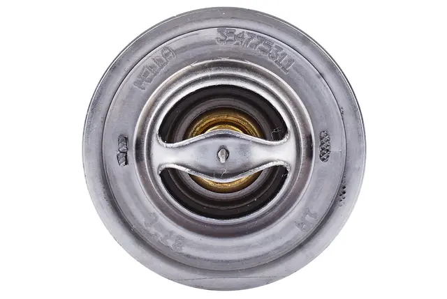 THERMOSTAT                           8MT Hella 