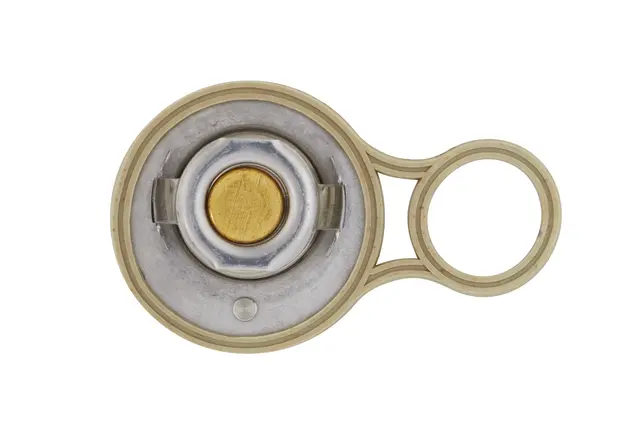 THERMOSTAT                           8MT Hella 