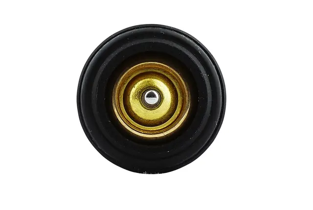 THERMOSTAT                           8MT Hella 