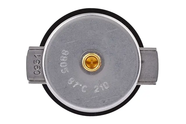 THERMOSTAT                           8MT Hella 