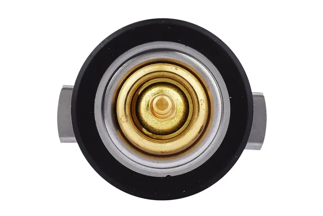 THERMOSTAT                           8MT Hella 
