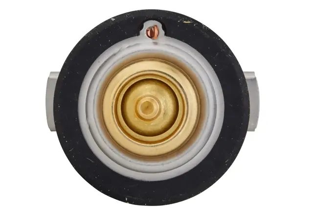 THERMOSTAT, COOLANT                  8MT Hella 