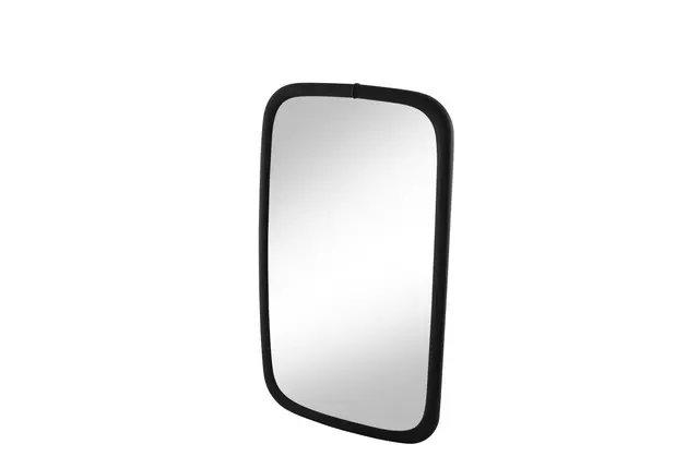 MIRROR                               8SB Hella 