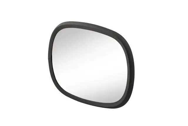 MIRROR HEAD LKW BLACK                8SB Hella 