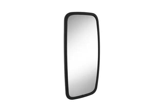 MIRROR TRUCK BLACK                   8SB Hella 