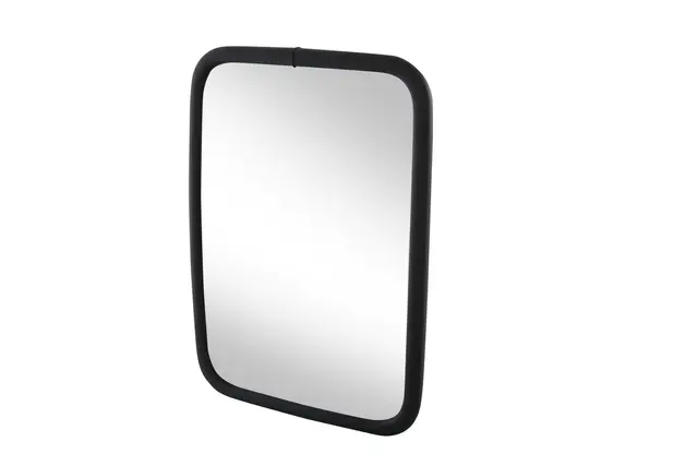 OUTSIDE MIRROR LKW                   8SB Hella 