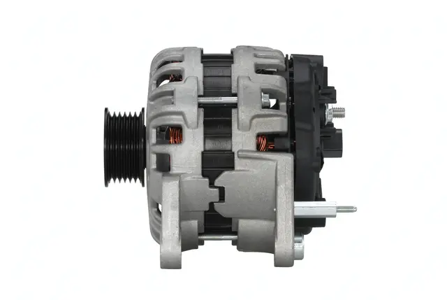 ALTERNATOR                           8EL Hella 