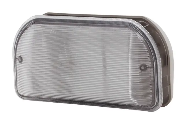 ENTRANCE LAMP WHITE MG12             2XT Hella 