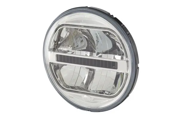 HEADLAMP INSERT GR                   1F8 Hella 