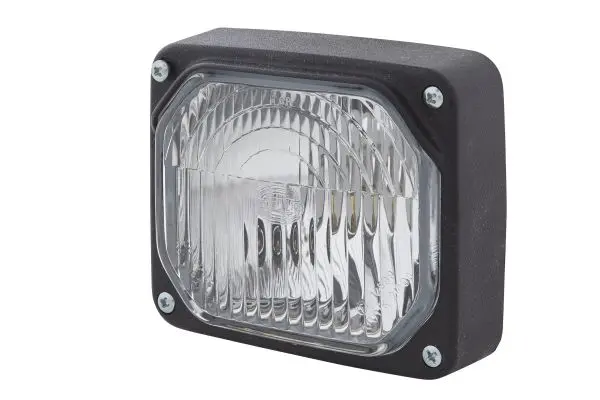 HEADLAMP INSERT      E-GR            1TA Hella 
