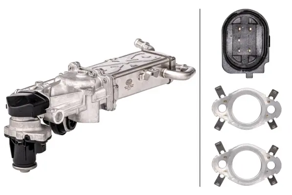 EGR MODULE                           6NU Hella 