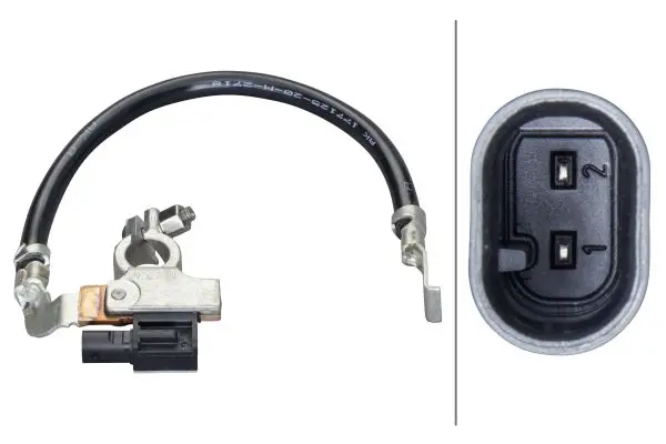 BATTERY SENSOR IBS 2-PIN             6PK Hella 