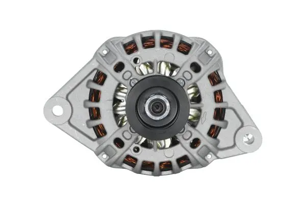 ALTERNATOR                           8EL Hella 