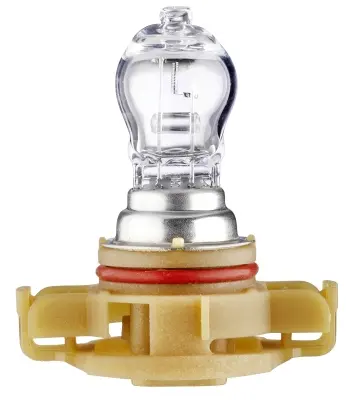 BULB PS24W 12V  PG20/3 CLEAR         8GA Hella 