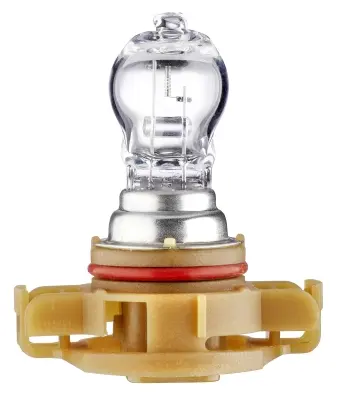 BULB PS19W 12V  PG20/1 CLEAR         8GA Hella 