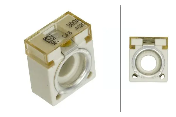 CF8 FUSE 300A                        8JS Hella 