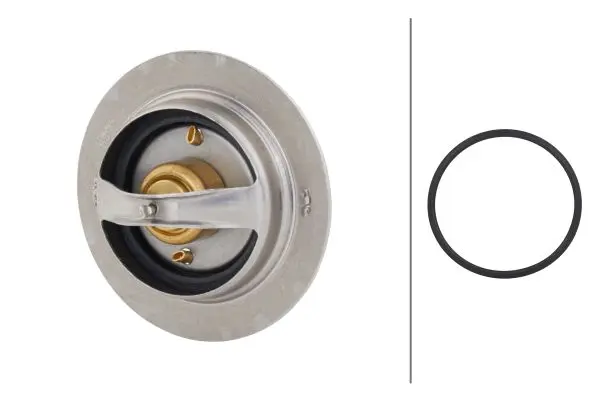 THERMOSTAT, COOLANT                  8MT Hella 