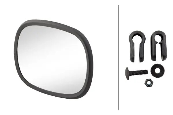 MIRROR HEAD LKW BLACK                8SB Hella 