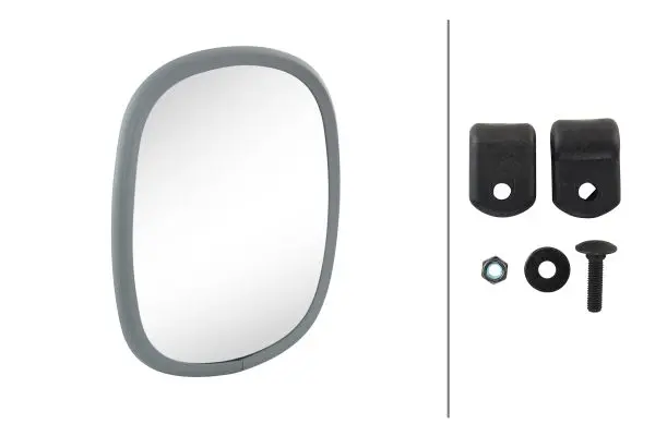 MIRROR HEAD LKW GREY                 8SB Hella 