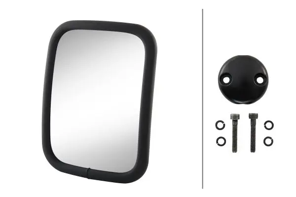 WIDE-ANGLE MIRROR LKW                8SB Hella 