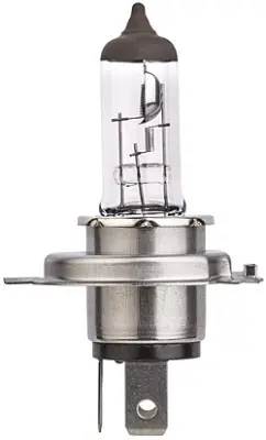 BULB HB2 12V60/55W                   8GJ Hella 