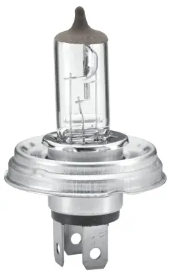 BULB HR2 12V 60/55W P45T             8GJ Hella 