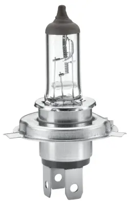 BULB ECE-R 37-H4-24V75/70W           8GJ Hella 
