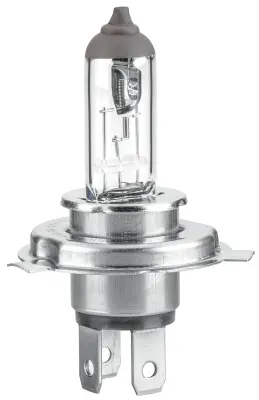 BULB ECE-R37 H19 12V 60/55W STD      8GJ Hella 