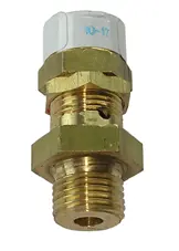 Safety Valve Knorr-Bremse 
