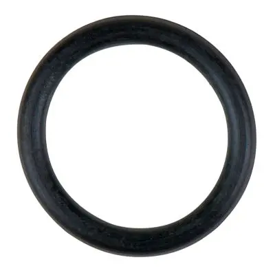 O-Ring for reverse valve 