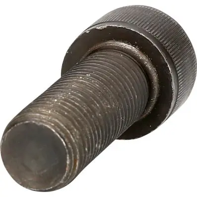 Screw M22 x 60 mm 