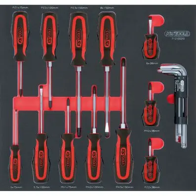 SCS ERGOTORQUEplus screwdriver set, 20 p cs, 2/3 system insert 