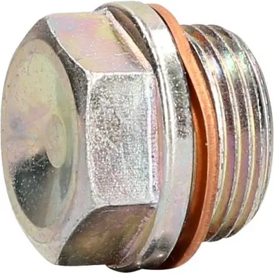 Oil drainage screw M22 x 1.5 x 21 mm for Iveco 