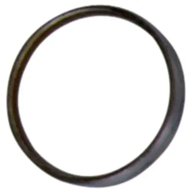 Oil seal 
