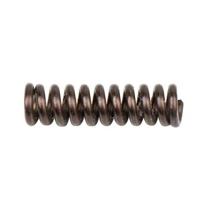 Spring for lock pin 