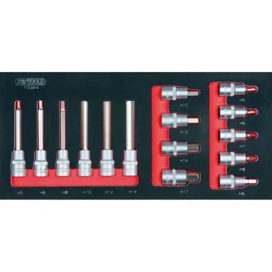SCS 1/2'' Bit socket set, 15 pcs, 1/3 sy stem insert 