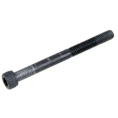 Hex screw (M5*55mm) 