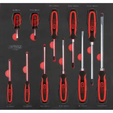 SCS ERGOTORQUEplus screwdriver set, 11 p cs, 2/3 system insert 