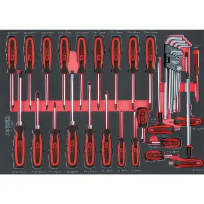 SCS ERGOTORQUEplus screwdriver set, 34 p cs, 1/1 system insert 