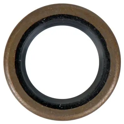 Oil seal 