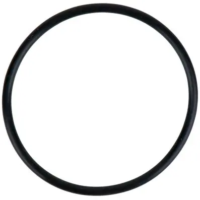 O-ring 
